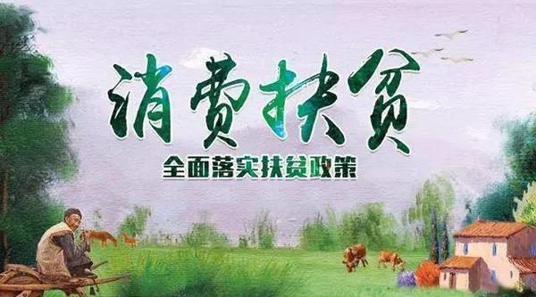 央视强推，新闻联播点名表扬的年代热播剧山海情，凭什么这么火？