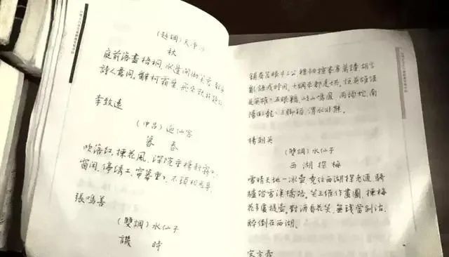 毛笔书法#孙晓云的钢笔书法真不赖,闺秀风,晋唐韵,颠覆你的审美和认识