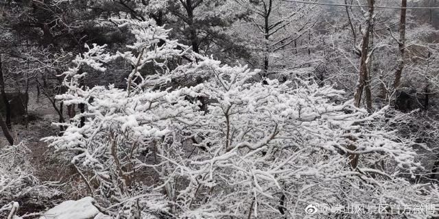 日前|青岛气象：市区常年的初雪日期在11月25日前后