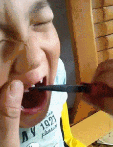 |搞笑GIF段子:家里的蚊帐都快被这傻狗的玩坏了