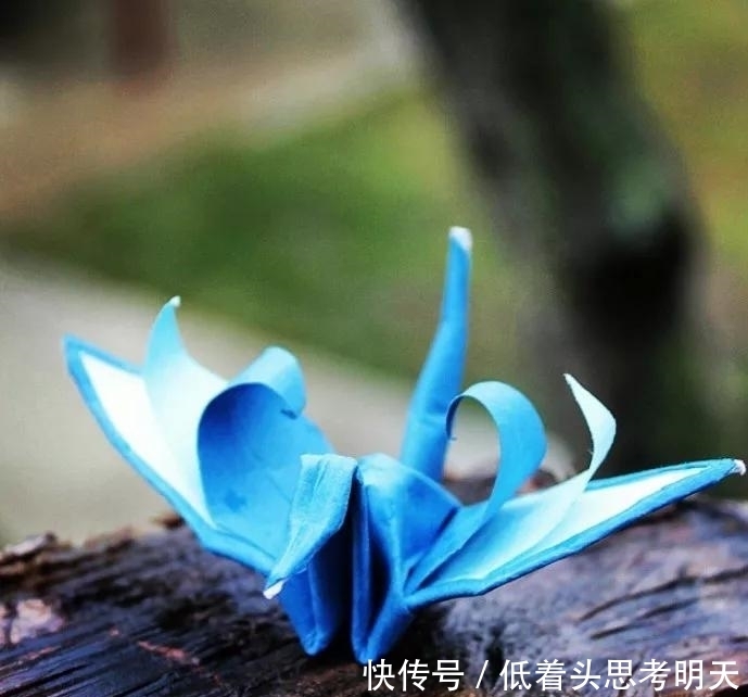 重样|每天折一只千纸鹤,他坚持了1000天不重样,女友被感动到梨花带雨