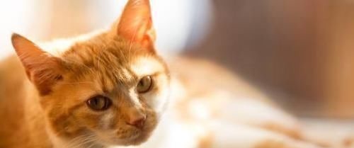 生日|生日尾数是几的孩子,一生注定不平凡,出人头地,父母少操心