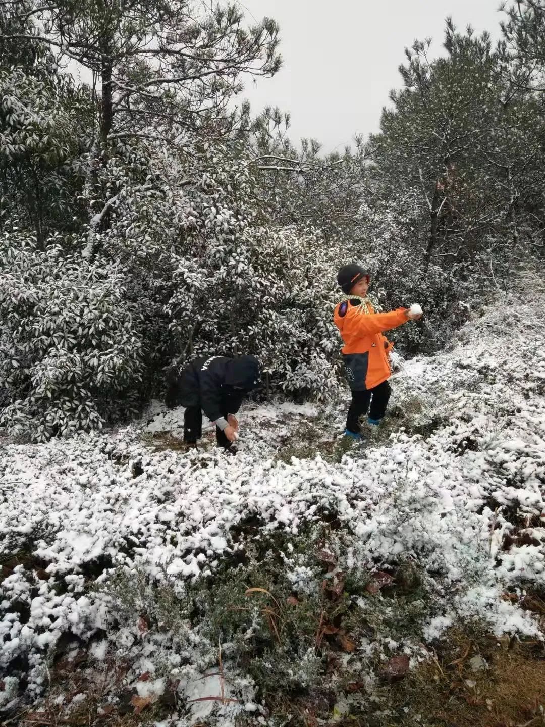 雪景|太美了！台州最新雪景！括苍山跌至-10℃，再现云海奇观（多图多视频）