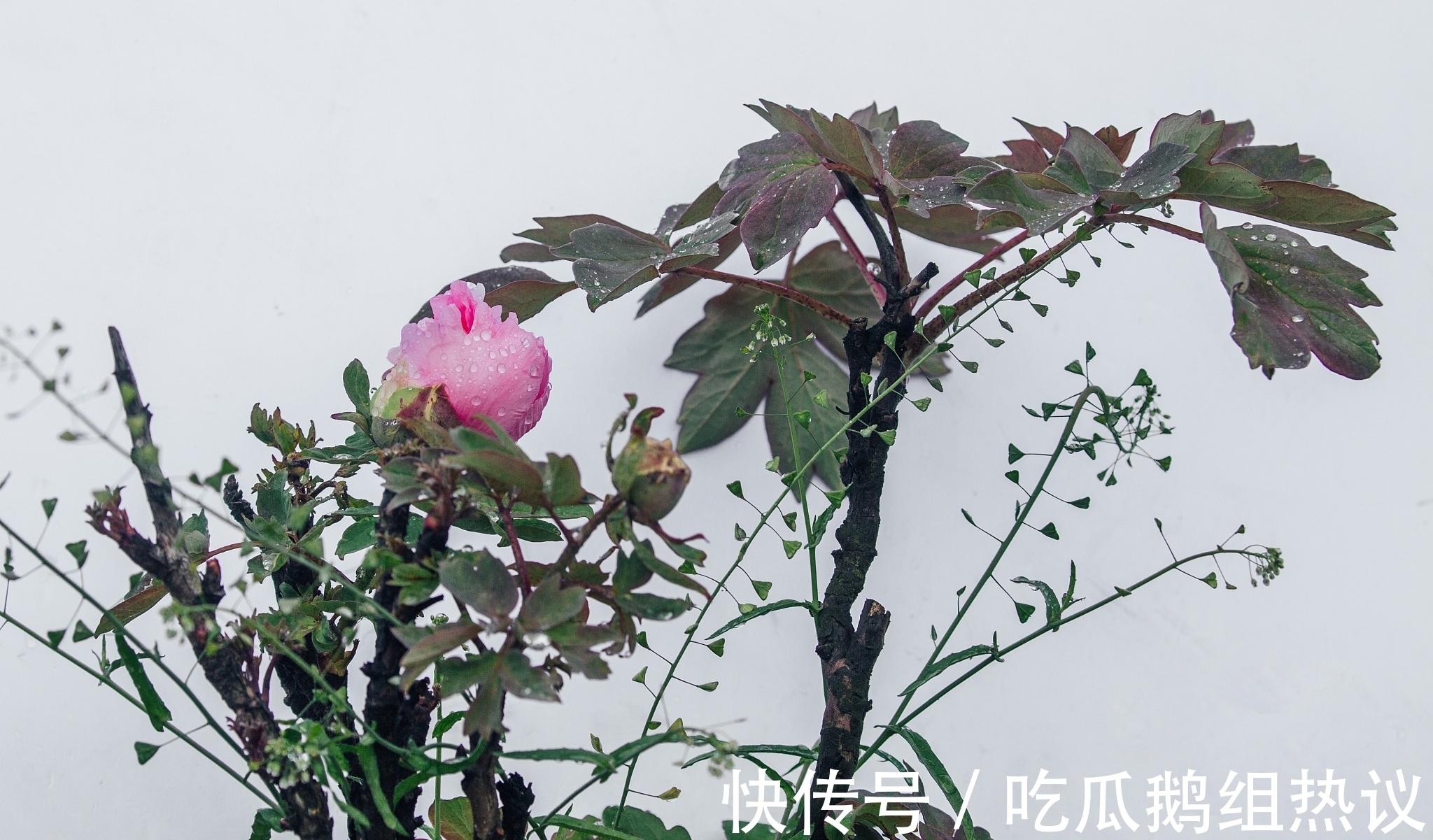 诗人$鱼玄机诗六首,其中一首写得气势雄浑,势吞山河