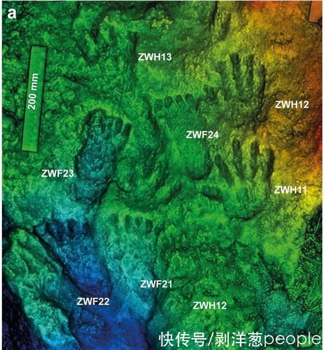 手印|西藏“野人”手脚印入选2021年“世界十大考古发现”，发现人呼吁保护