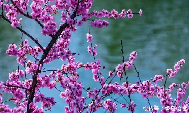 走，带上家人去野餐！《济南春日野餐指南》请收好！