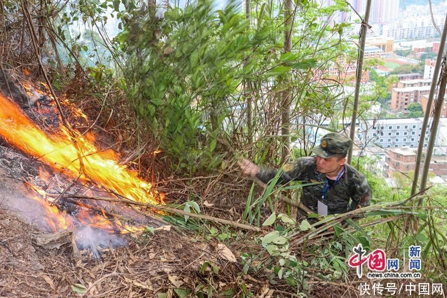 广西河池突发山火！武警官兵紧急驰援