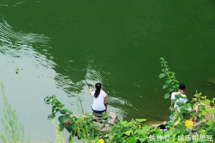 夏天的鱼都喜欢在这几个地方扎堆,把钓位选在这准没错