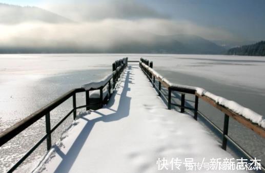 饺子|冬养生,抓准“三藏”,养生良方助你平稳过冬,身体不闹“情绪”