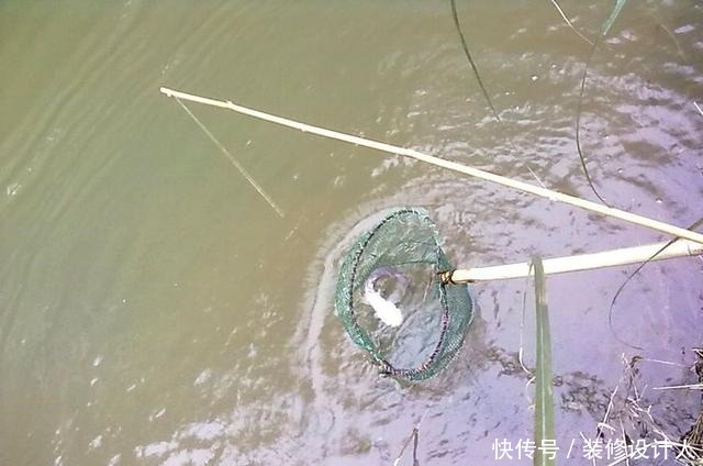 插竿钓法省事省心的钓取昂贵渔获的同时,领略古老钓法的乐趣!