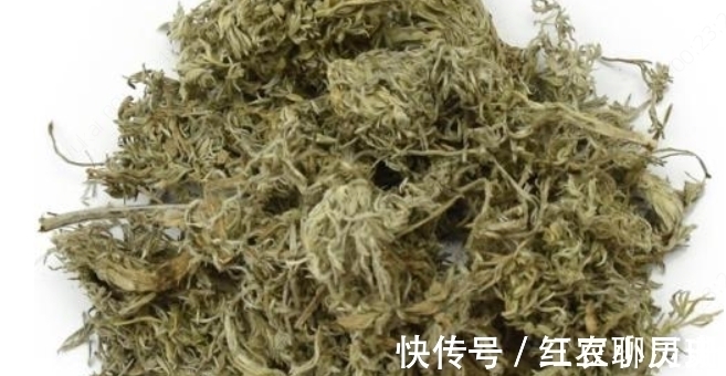 野菜|农村一种野菜只能当月吃，下个月药效就没了，城里一斤20块