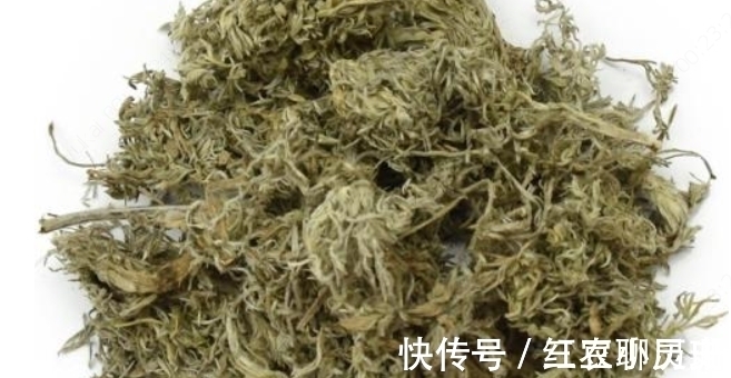 野菜|农村一种野菜只能当月吃,下个月药效就没了,城里一斤20块