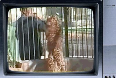 此人|此人一生生擒猛虎7只,活豹230只,94岁创办酒厂,人称“活武松”