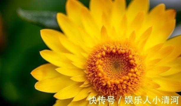 做事情|初入十月,痛苦难忍,幸福降临,再遇前任,交出真心,共度余生