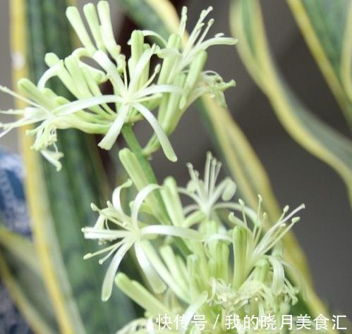 天冷了,浇花要注意哪些