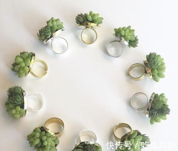 你的婚礼&不是所有首饰都是珠宝的,多肉做成首饰,颜值完全秒杀大牌首饰!