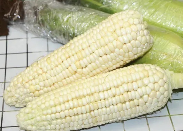 玉米吃不完难储存?别直接冻,教你一招,久放也软糯鲜甜,真实用