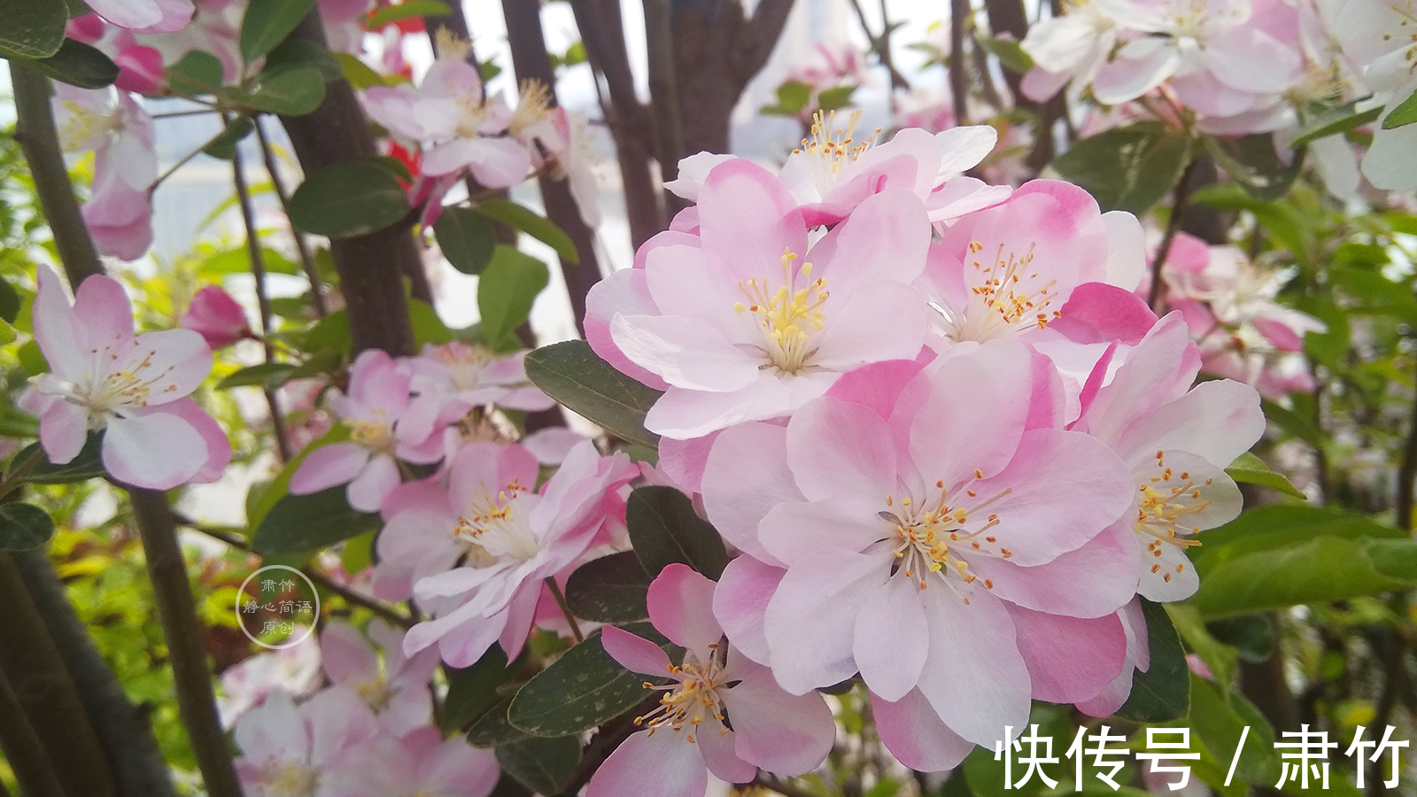 长度|生命长度有限，别在无聊中荒废