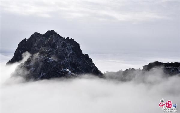 冰雪|大雪过后的黄山，是一个被冰雪包裹的艺术品