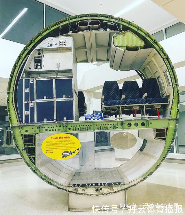 鹦鹉螺&这些东西内部长啥样?25张照片揭示日常事物看不见的一面!