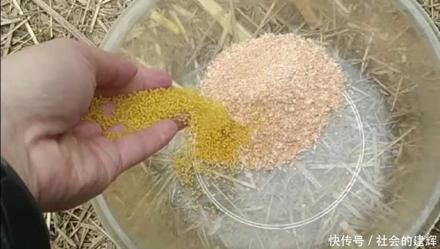 用法|实话告诉你,自从发现这饵料用法,夏钓再难也照样爆护,莫忽视