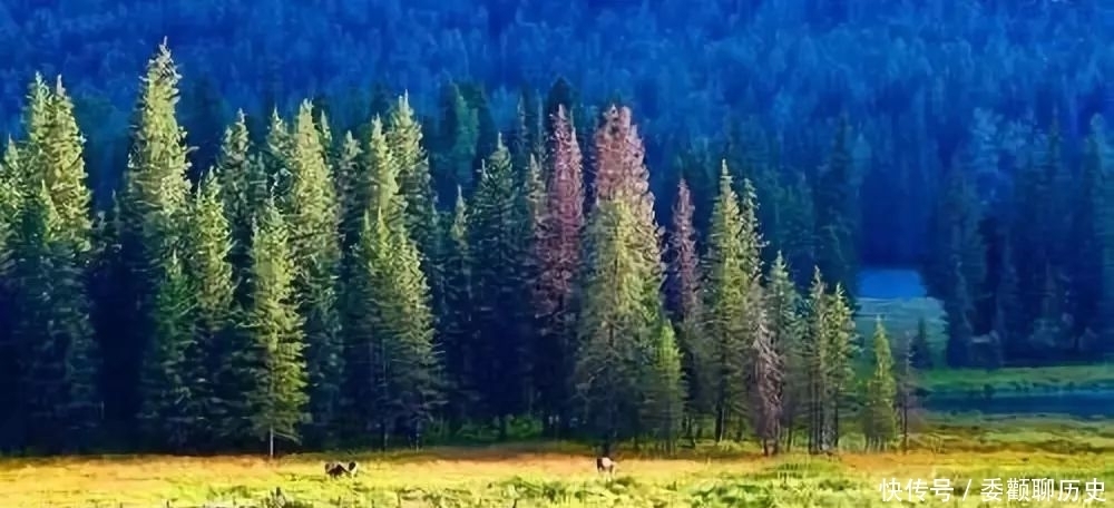 好使|刘俊峰:借口,果然好使