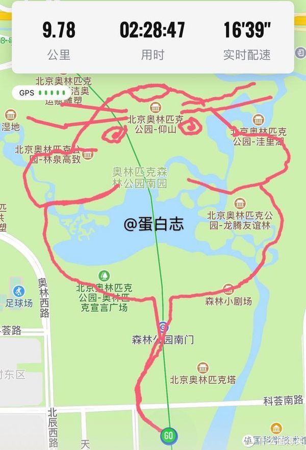 陪跑|蛋说无妨 篇二十:从夏日赤道红到冬日无极黑,R2陪跑一整年