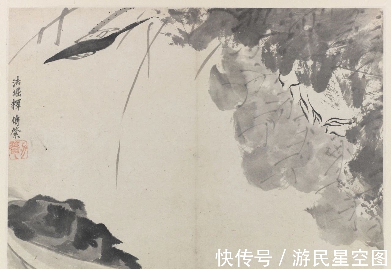 津门&「津门网」见画如见字、见字如见人,看这组清新的荷花您有啥感受