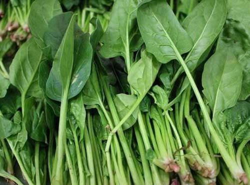 眼睛|对眼睛最好的4类食物,不是猪肝,家家都有,早吃早受益