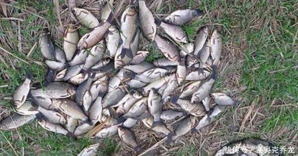 钓鱼技巧：鲜为人知的钓鱼冷知识，看似没用，其实影响了渔获量
