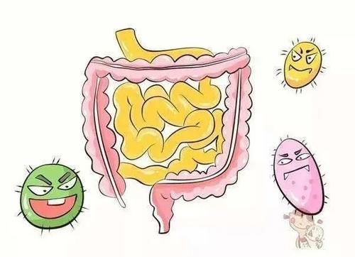 健康|健康源于肠道，你的肠道还好吗？