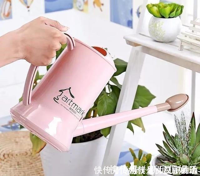 养花有“六戒”、“五忌”,难怪你的花总养不好,原来是犯了忌讳!