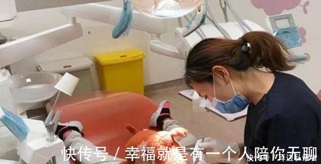 牙齿|3岁儿子满口“小黑牙”,罪魁祸首不是糖果,而是父母的无知