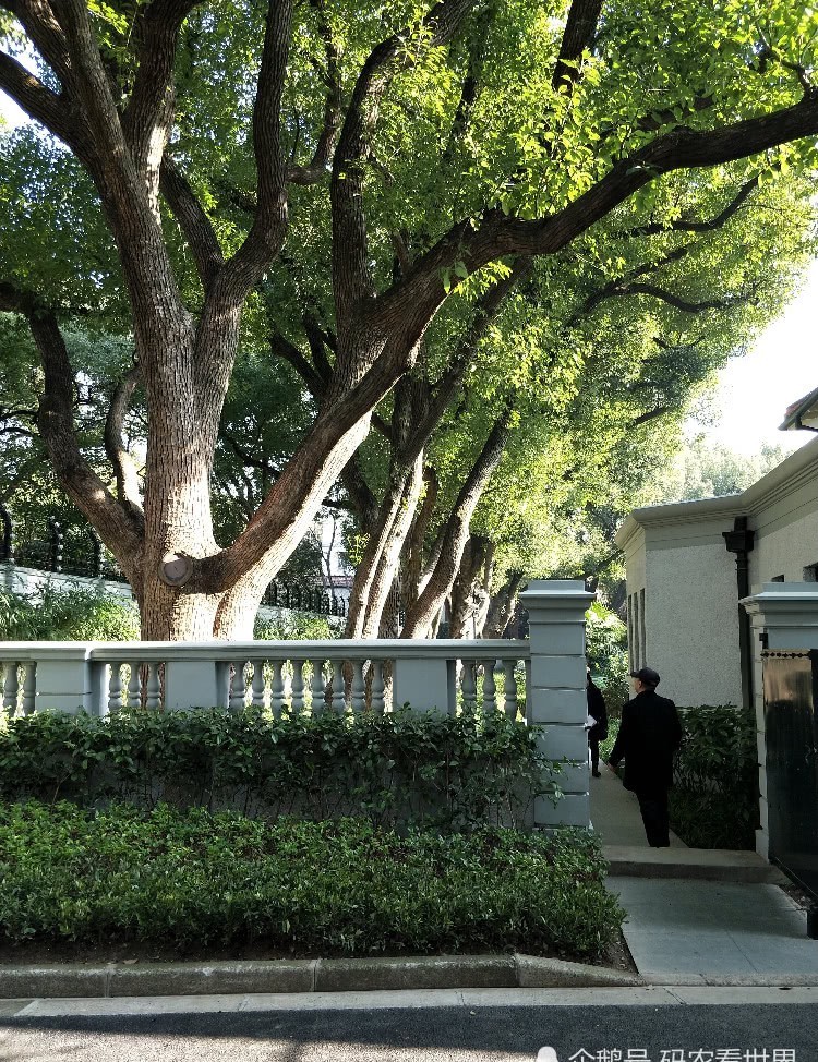 花园草坪|走进淮海路1843号,感受宋庆龄伟大光辉的一生