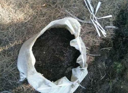 自制养花营养土，用上4种“小东西”，盆土松软透气，养啥花都旺