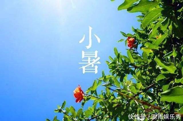 二十四节气｜小暑至，农谚“小暑打雷，大暑破圩”什么意思？