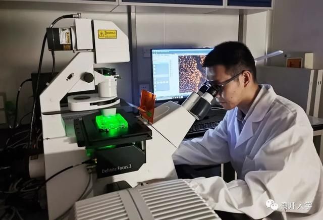 副作用|南开学生团队研发新技术 助癌症患者精准选药