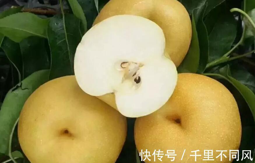 银耳梨汤|立秋后，5种蔬菜要常吃，既便宜又能消暑秋燥，营养也很丰富