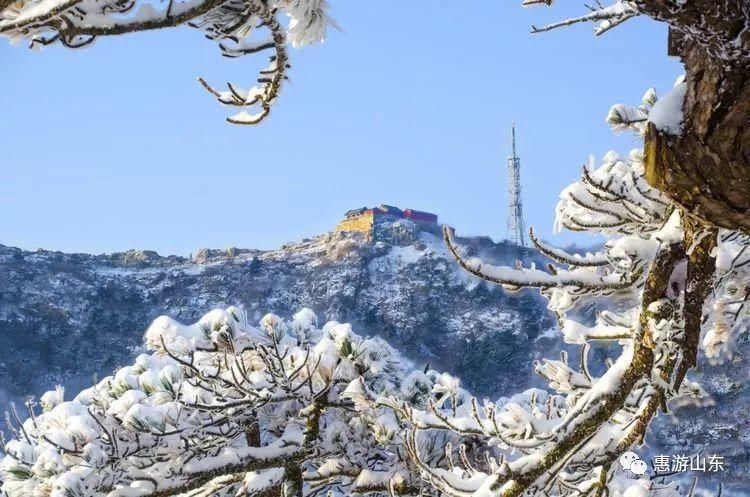 泰山银装素裹后石坞，雪松玉树赛仙境！