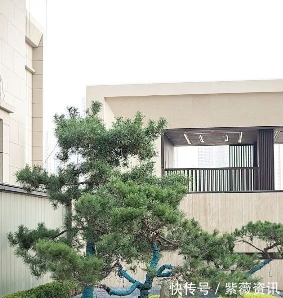 住建部|房产证的重要性,你必须知道!丨买房涨知识