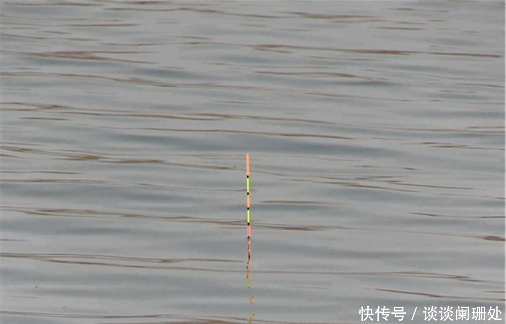 钓鱼调漂技巧:调漂想要做到精准,你需要注意这些步骤!