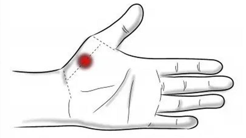 经络|经络穴位解读——肺经的要穴列缺、鱼际、少商