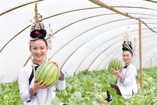 黔东南|印象黔东南(榕江)，自然美，生活之美