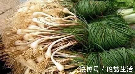 阳荷|奇怪的山野菜,就是去了山里也不一定认出来