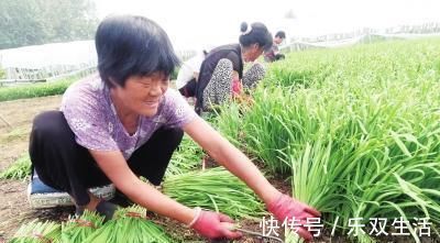 苹果|经常便秘不用怕,3种食物换着吃,快速通便,肠道越吃越干净