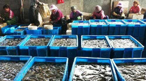 国内有个“奢侈”县城当地人出行都是靠飞机,车票还比机票贵