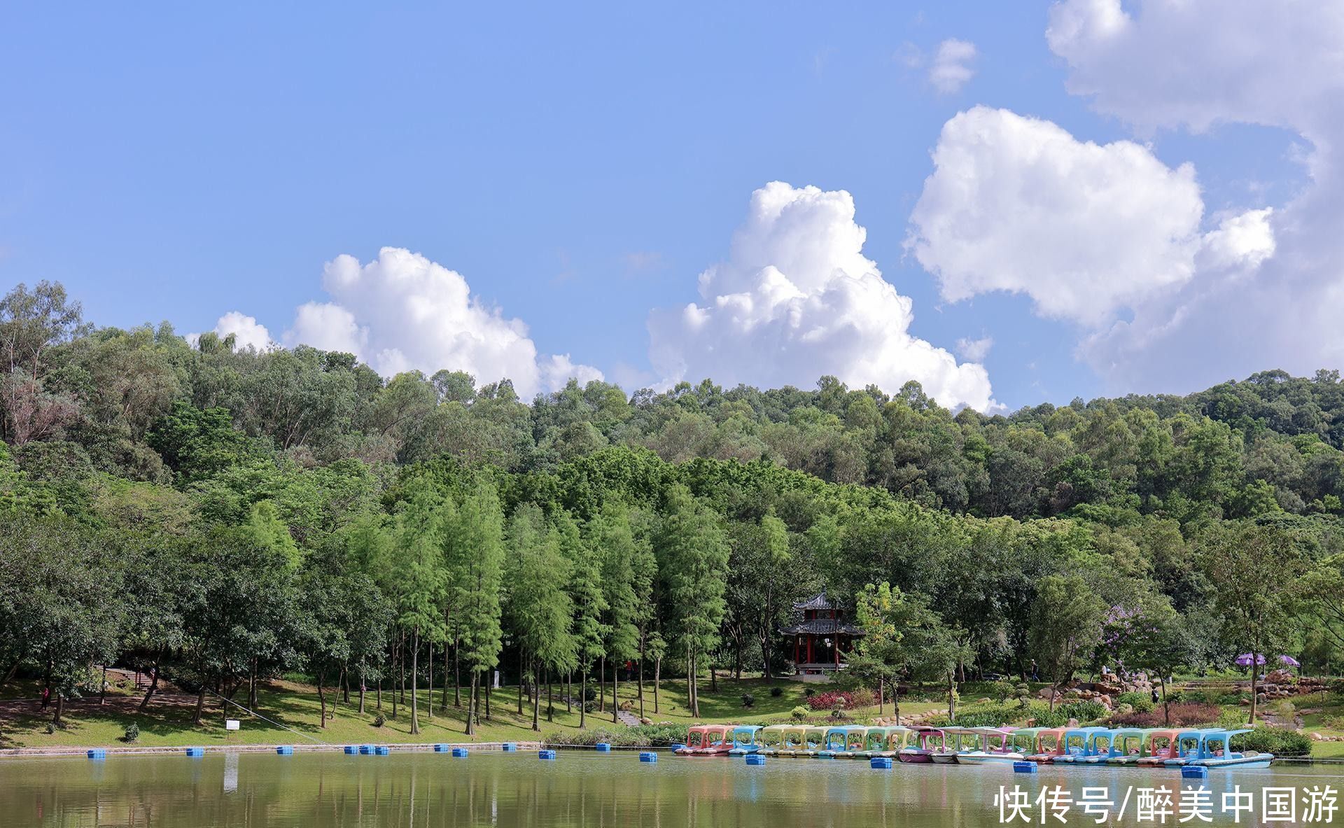 深圳|游深圳莲花山公园，植被种类繁多，山环水绕