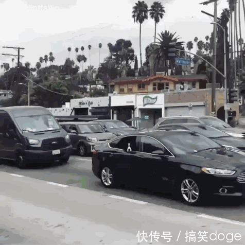 |搞笑合集:我一定是穷疯了,看啥都感觉像钱,还有救吗