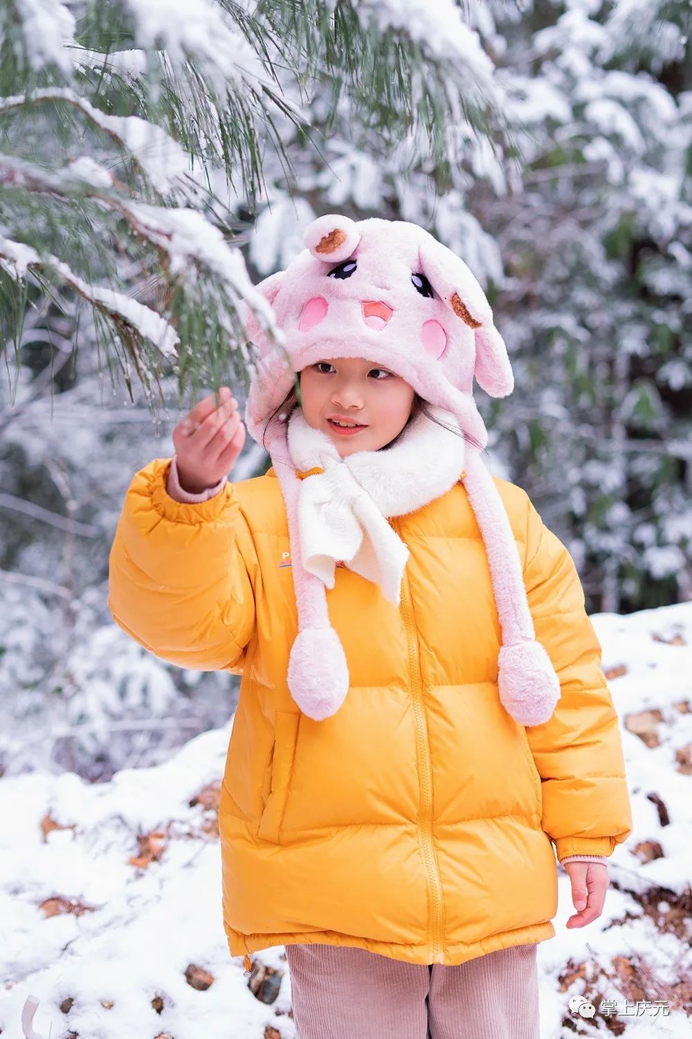 胡惠菲|庆元绝美雪景大片，上新了！