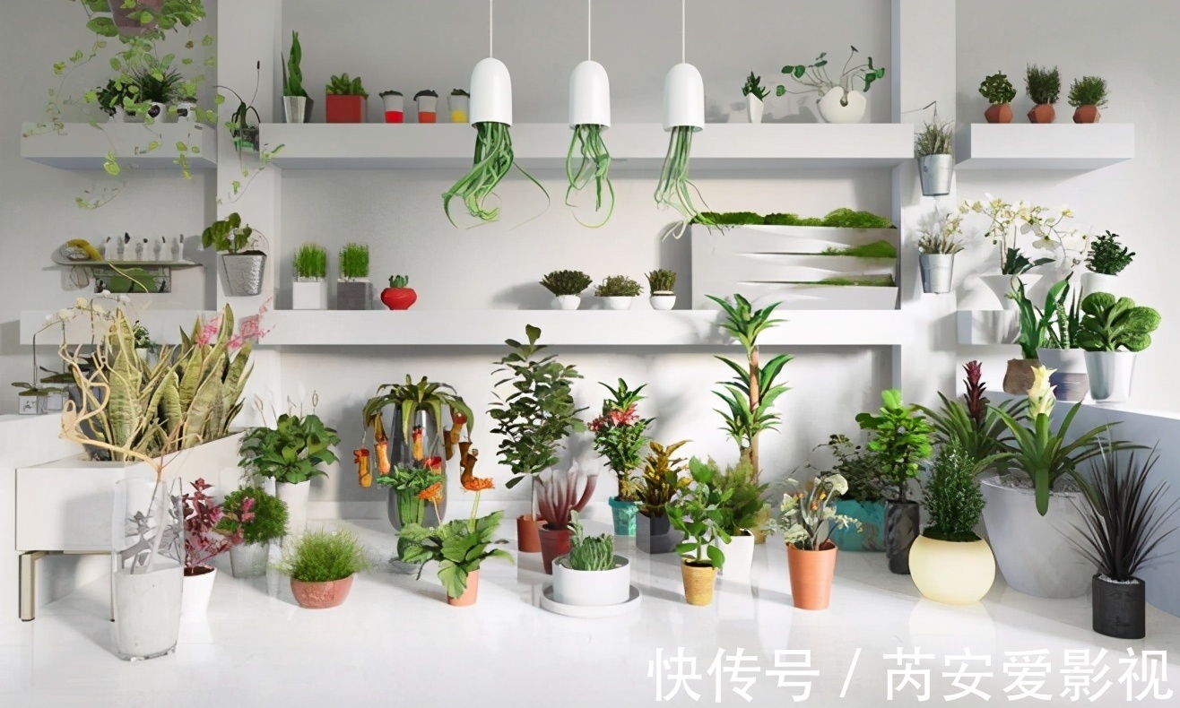 阳台上|5个位置,不能养花,养一盆死一盆,看看你中招没有